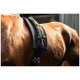 Nahaufnahme eines braunen Pferdes, das ein schwarzes Equinate-Geschirr trägt, mit Metallclips und Riemen für eine sichere Befestigung.