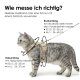 Eine hellgraue Katze trägt ein schwarzes Geschirr und eine Leine, steht vor einem weißen Hintergrund. Der Text lautet 'Schönes Design in 5 Farben erhältlich.'