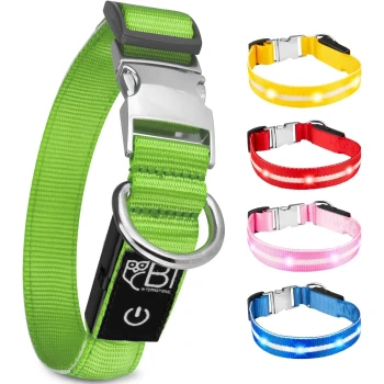 Bunte Haustierhalsbänder mit einem grünen Halsband mit silberner Schnalle und LED-Lichtern, sowie gelben, roten, rosa und blauen Optionen.
