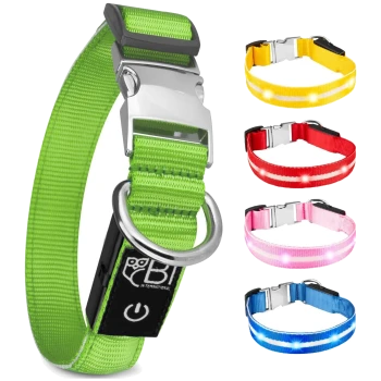 Bunte Haustierhalsbänder mit einem grünen Halsband mit silberner Schnalle und LED-Lichtern, sowie gelben, roten, rosa und blauen Optionen.