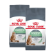 Zwei Tüten Royal Canin Care Digestive Katzenfutter, mit einem Katzenbild, Ansprüchen von 95% gesunder Stuhlqualität in 10 Tagen.