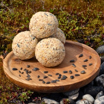 Vier runde Fettkugeln für Vögel auf einem Holzbrett mit verstreuten Sonnenblumenkernen, draußen auf Moos und Steinen.