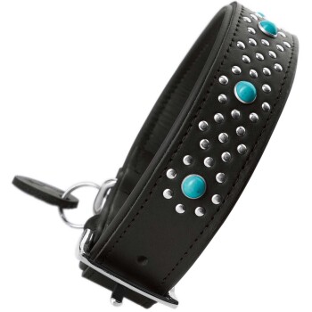Schwarzes Leder-Haustierhalsband, verziert mit türkisfarbenen Steinen und silbernen Nieten, mit einer Metallschnalle und D-Ring zur Leinenbefestigung.