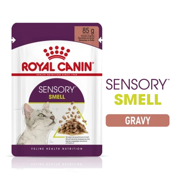 Royal Canin Sensory Smell cat food pouch, 85g, featuring chunks in gravy, with a cat image and text highlighting its sensory benefits.