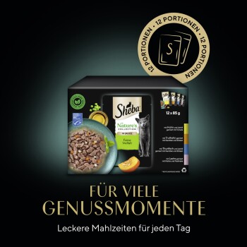 Sheba Nature's Collection Katzenfutterverpackung mit 12 Portionen Gourmet-Mahlzeiten in Sauce, mit einer Schüssel Futter und Text auf Deutsch.