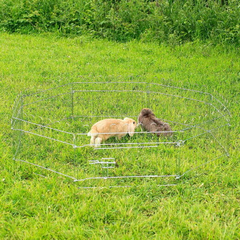 Zwei Kaninchen in einem Metall-Drahtgehege auf grünem Gras im Freien.