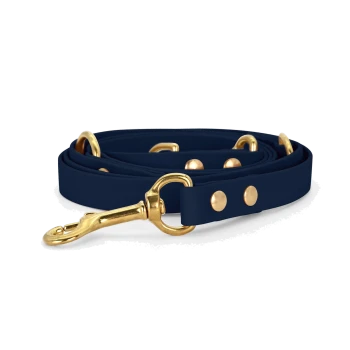 Eine marineblaue Hundeleine mit goldenen Beschlägen, mit einem stabilen Clip und dekorativen Nieten entlang des Riemens.