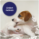 Welpe beißt sich ins Hinterbein, mit blauem Kreis, der den Text "Lindert Juckreiz" in weißen Buchstaben enthält.