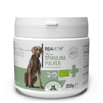 Bio Spirulina Pulver 250g