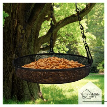 Ein hängender schwarzer Netzfütterer, gefüllt mit Mehlwürmern, vor einem üppig grünen Hintergrund mit einem Baum. Logo von "wildlife home" sichtbar.