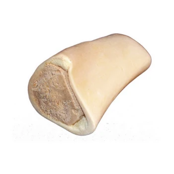 Ein großes, hohles Hundeknochen mit einer cremig-beigen Außenseite und einem gefüllten Inneren, ideal zum Kauen und Spielen für Haustiere.