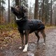 Ein stilvoller Hund, der eine schwarze wasserdichte Jacke mit einem orangefarbenen Streifen trägt und nach oben schaut, vor einem schlichten weißen Hintergrund.