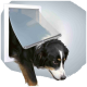 Ein Hund mit einem schwarz-weißen Fell schaut durch eine klare Kunststoff-Hundetür, die in einem weißen Rahmen vor einem grauen Hintergrund montiert ist.