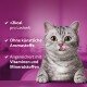 Eine verspielte graue Katze mit großen Augen und herausgestreckter Zunge, auf einem lila Hintergrund, der niedrige Kalorien und keine künstlichen Aromen hervorhebt.