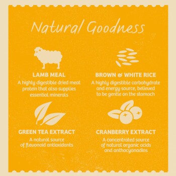 Infographic titled "Natural Goodness" showcasing Lamb Meal, Rice, Green Tea Extract, and Cranberry Extract with their benefits.