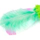 Buntes grünes und pinkes Feder-Spielzeug für Haustiere, mit weichen, flauschigen Texturen, ideal für die Spielzeit.