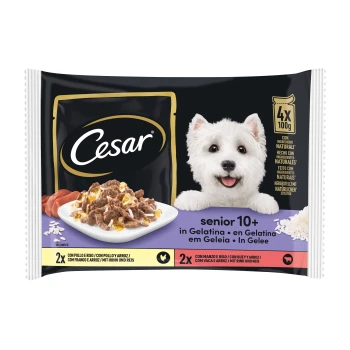 Selection Senior 8x100g Cesar Senior-Hundefutter in Gelee, 4 Packungen mit je 100g, mit einem Teller voller fleischiger Stücke mit Reis und Gemüse.