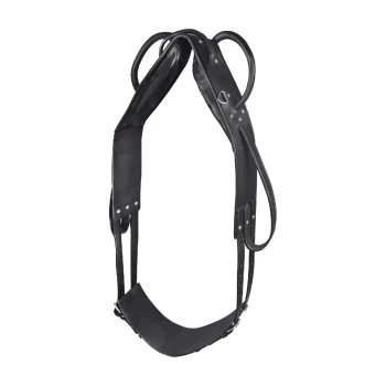 Schwarzes Leder-Haustiergeschirr mit verstellbaren Riemen und Metallringen, entworfen für Komfort und Kontrolle während der Spaziergänge.