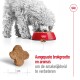 Een fluffy grijze hond eet uit een rode kom, met een close-up van stervormige brokjes. Tekst: 'Aangepaste brokjesgrootte en aroma's voor een betere smaak.'