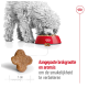 Een fluffy grijze hond eet uit een rode kom, met een close-up van stervormige brokjes. Tekst: 'Aangepaste brokjesgrootte en aroma's voor een betere smaak.'