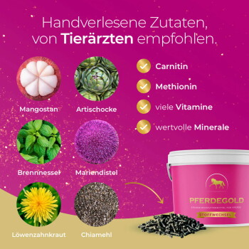 Ein pinker "Pferdegold" Behälter mit Pferdefutterpellets, der den Stoffwechsel unterstützt und natürliche Zutaten für Pferde bewirbt.