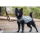 Schwarzer flauschiger Hund trägt eine graue Dogzilla-Jacke an der Leine, steht auf dem Bürgersteig mit herausgestreckter Zunge.