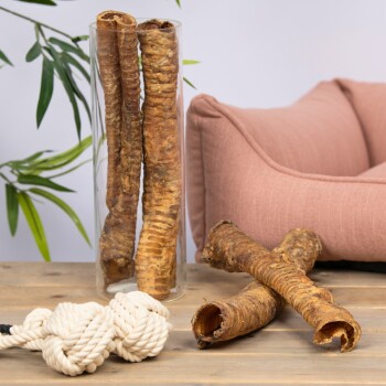 Eine Glasvase enthält große Hundekauartikel, zwei weitere liegen auf einem Holztisch neben einem Seilspielzeug und einem pinken Haustierbett im Hintergrund.