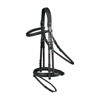 Schwarzes Lederpferdegeschirr mit mehreren Riemen und Schnallen, vor einem weißen Hintergrund ausgestellt.