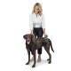 CareLift Hebegeschirr für Hunde blau/ grau L
