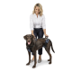 Eine Frau in einem weißen Hemd und dunklen Hosen passt ein blaues Hundegeschirr an einen braunen Hund an. Der Hund steht aufmerksam.