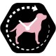 Een hexagonaal zwart pictogram met een roze silhouet van een hond met klokwijzers, die de tijd aangeeft, omringd door een gestippelde cirkelrand.