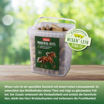 PANTO Mineral-Bits Pferdeergänzung in einem transparenten Behälter mit Pferdebild und "Wisan-Lein Pferde-Fit" Etikett.
