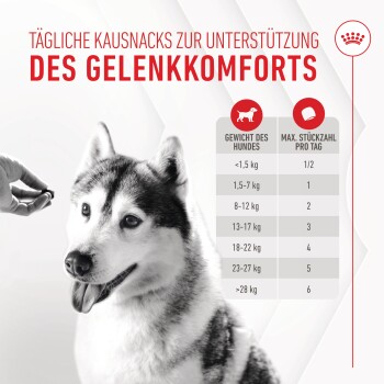 Nahaufnahme eines sibirischen Huskys, der auf ein Leckerli schielt, mit einer Tabelle zu täglichen Snackempfehlungen für Gelenkomfort basierend auf dem Gewicht.