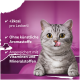 Grau getigerte Katze leckt sich die Lippen vor rosafarbenem Hintergrund mit Text: '<2 kcal/Leckerli; keine künstlichen Aromen; Vitamine & Mineralstoffe'