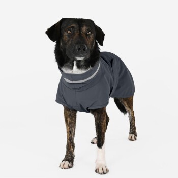 Ein Hund trägt einen stilvollen grauen Regenmantel mit Kapuze und reflektierenden Streifen und steht vor einem schlichten weißen Hintergrund.