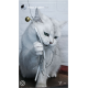 Eine verspielte weiße Katze mit grünen Augen hält ein Spielzeug mit Bändern und einer Glocke, vor einem hellen Hintergrund.
