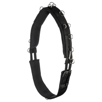 Schwarzes gepolstertes Hundegeschirr mit mehreren Metall-D-Ringen und verstellbaren Riemen für eine sichere Befestigung.