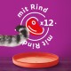 Der gestreifte Schwanz einer Katze ist neben einer leeren orangefarbenen Futterschüssel sichtbar, mit einem lila Hintergrund, der den Text 'mit Rind x12' und ein rotes Fleischsymbol zeigt.