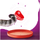 La queue rayée d'un chat est visible à côté d'un bol de nourriture pour animaux orange vide, avec un fond violet présentant le texte 'mit Rind x12' et une icône de viande rouge.