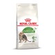 Royal Canin Active Life Outdoor Katzenfutter für Katzen ab 7 Jahren, mit einer getigerten Katze auf der Vorderseite und dem Etikett "Vitality Complex".