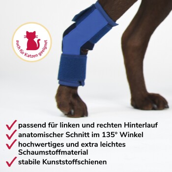 Hund trägt eine blaue orthopädische Beinbandage am Hinterbein mit deutschem Text, der Funktionen beschreibt, und einem Katzen-Symbol mit der Aufschrift „auch für Katzen geeignet“.