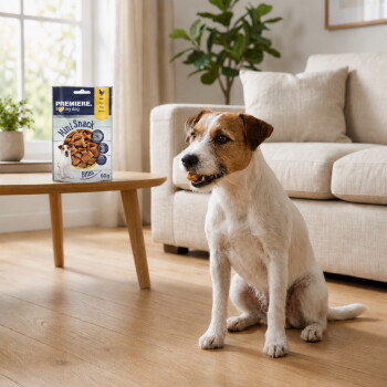 Small terrier sitting in a living room beside a coffee table with a bag labeled "PREMIERE Mini Snack Bites 60g" – AI-generated