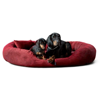 ® Orthopädisches Hundebett Sammy VISCO | High-Tech-Velours | L - XXXXL dunkelrot 1,4 m, 30 cm, 1,05 m Zwei schwarz-braune Dackel liegen auf einem großen runden roten Hundebett mit einem kleinen Stoffetikett.