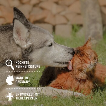 Ein grau-weißer Hund leckt das Gesicht einer orangefarbenen Katze im Gras. Text: "Höchste Reinheitsstufe," "Made in Germany," "Entwickelt mit Tierexperten."