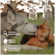 Ein grau-weißer Hund leckt das Gesicht einer orangefarbenen Katze im Gras. Text: "Höchste Reinheitsstufe," "Made in Germany," "Entwickelt mit Tierexperten."