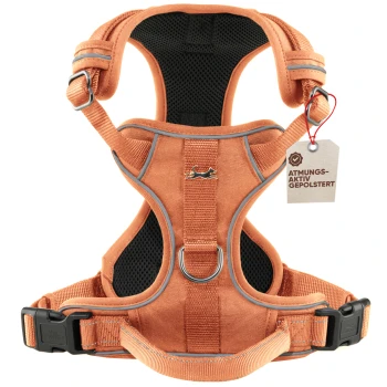 Orangefarbene Hundegeschirr mit atmungsaktiver Polsterung, mit einem schwarzen Netzinnenfutter und einem Etikett, das "ATMUNGS-AKTIV GEPOLSTERT" liest.