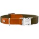Olivgrünes Hundehalsband mit orangefarbener Lederumrandung und silberner Schnalle, mit Prägung „HUNTER“.