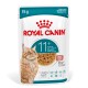 Karma mokra Royal Canin 85g w saszetce dla starszych kotów powyżej 11 lat z sosem, z wizerunkiem pomarańczowego kota pręgowane.