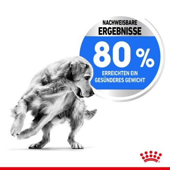 Ein Golden Retriever in Bewegung, mit einem blauen Kreis, der sagt "80% erreichen ein gesünderes Gewicht" auf einem weißen Hintergrund.