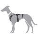 Illustration eines grauen Hundes, der ein schwarzes Geschirr trägt, das verstellbare Riemen und eine sichere Passform zeigt.
